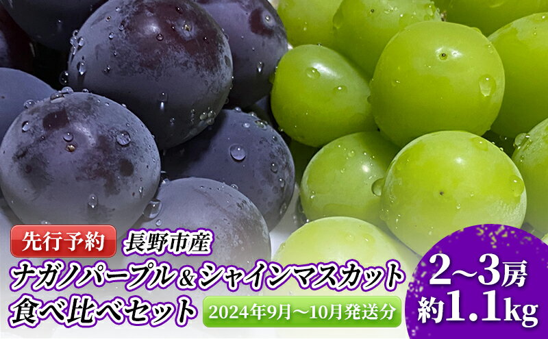 【ふるさと納税】ぶどう 先行予約 長野市産 ナガノパープル ＆ シャインマスカット 食べ比べ セット 2～3房 約1.1kg 詰め合わせ シャイン マスカット ブドウ 葡萄 フルーツ 果物 巨峰 デザート 信州 2024年秋発送　【 長野市 】　お届け：2024年9月中旬～10月上旬