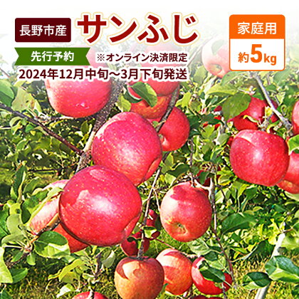 先行予約 長野市産サンふじ家庭用 約5kg 2024年12月～3月発送 ※オンライン決済限定　【 果物 フルーツ デザート 食後 おやつ 長野県産 信州 りんご 代表品種 濃厚 】　お届け：2024年12月10日～2024年3月下旬