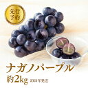 【ふるさと納税】ぶどう 先行予約 長野市産 ナガノパープル 約2kg 果物 ブドウ 葡萄 フルーツ デザート おやつ 種なし 信州 オンライン決済限定 2024年秋発送　【ぶどう 葡萄 ブドウ ナガノパープル フルーツ】　お届け：2024年9月上旬～10月中旬･･･