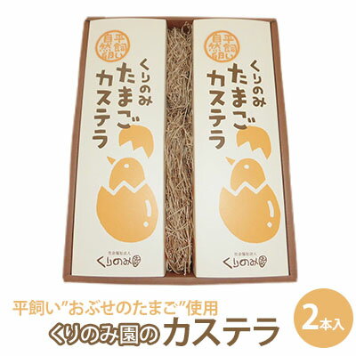 くりのみ園のカステラ(2本入) [ お菓子 和菓子 和スイーツ スイーツ おやつ おぶせのたまご 風味豊か 卵のコク 厳選素材 ふんわり キメが細かい しっとり 有機JAS ]