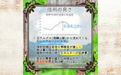 【ふるさと納税】先行予約【信州長野県産】シャインマスカットの宝石箱　厳選18粒 2023年9月より発送　【 長野 果物類 ぶどう マスカット フルーツ ギフト 手土産 】　お届け：2023年9月上旬〜11月中旬･･･ 画像2