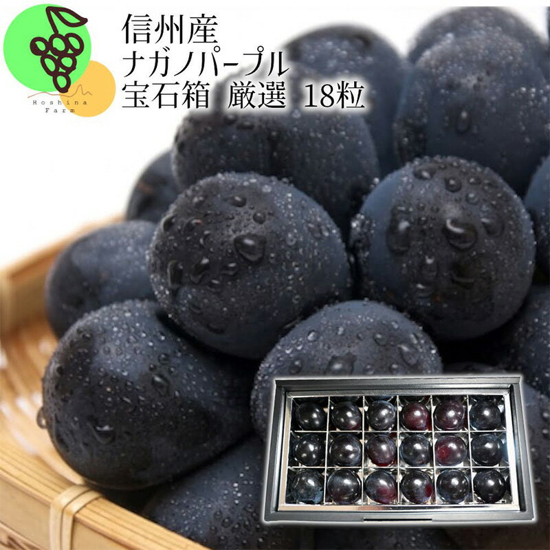 【ふるさと納税】ぶどう 先行予約 信州 長野県産 ナガノパープル 宝石箱 厳選 18粒 葡萄 ブドウ 果物 フルーツ ギフト 贈答 手土産 デザート おやつ 2023年9月より発送　【 長野市 】　お届け：2023年9月上旬〜10月上旬のサムネイル