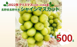 【ふるさと納税】【2022クリスマス（23日〜25日必着）】長野県長野市産シャインマスカット500g　【 果物 ぶどう フルーツ デザート おやつ 食後 信州のぶどう 長野県産 高級ぶどう 】　お届け：2022年12月23日〜12月25日･･･ 画像1