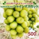 【ふるさと納税】【2022クリスマス（23日〜25日必着）】長野県長野市産シャインマスカット500g　【 果物 ぶどう フルーツ デザート おやつ 食後 信州のぶどう 長野県産 高級ぶどう 】　お届け：2022年12月23日〜12月25日･･･