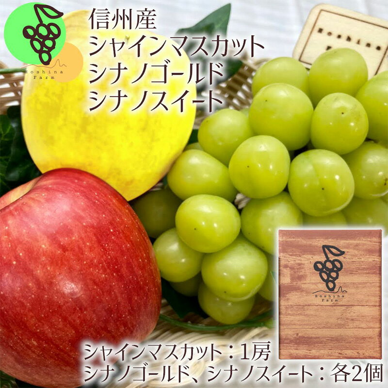 【ふるさと納税】【長野県産】※2024年先行予約※ フルーツ盛り合わせ シャインマスカット＆シナノゴールド＆シナノスイート　【 長野市 】　お届け：2024年10月上旬～下旬のサムネイル
