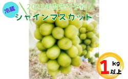 【ふるさと納税】ぶどう 先行予約 長野県 長野市産 冷蔵 シャインマスカット 約1kg 葡萄 ブドウ 果物 フルーツ デザート おやつ 信州 2023年秋発送　【 長野市 】　お届け：2023年11月中旬〜2023年12月31日･･･ 画像1