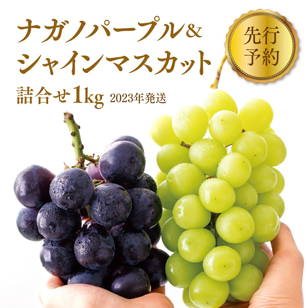 【ふるさと納税】先行予約 長野市産ナガノパープル＆シャインマスカット詰合せ約1kg 2023年秋発送 ※オンライン決済限定　【 果物 ぶどう フルーツ 食後 デザート おやつ 】　お届け：2023年9月上旬〜10月中旬･･･