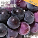 楽天長野県長野市【ふるさと納税】【信州長野県産】※2024年先行予約※［訳あり］種無し巨峰1.0～1.2kg 10月より発送開始　【 長野市 】　お届け：2024年9月下旬～10月末