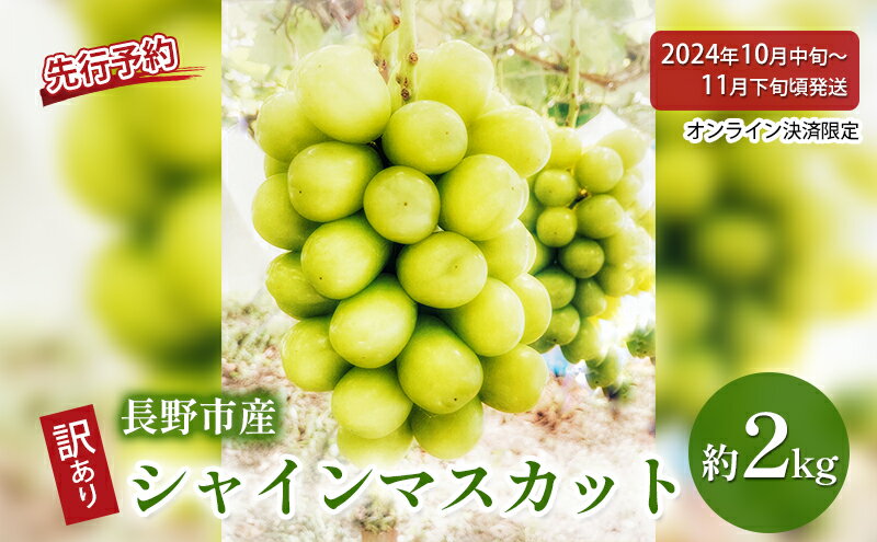 【ふるさと納税】ぶどう 先行予約 長野県産 シャインマスカット 約2kg 訳あり 葡萄 ブドウ 果物 フルーツ シャイン マスカット デザート おやつ 信州 2024年秋発送　【 長野市 】　お届け：2024年10月中旬～11月下旬