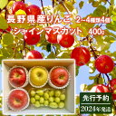 【ふるさと納税】先行予約 長野県産りんご2～4種類4個シャイ