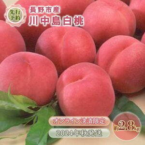 【ふるさと納税】先行予約 長野市産川中島白桃約2.8kg（糖度12度）2024年8月発送 ※オンライン決済限定　【 果物 フルーツ 食後 デザート おやつ 芳醇な香り 】　お届け：2024年8月中旬～8月下旬