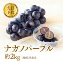 【ふるさと納税】ぶどう 先行予約 長野市産 ナガノパープル 約2kg 果物 ブドウ 葡萄 フルーツ デザート おやつ 種なし 信州 オンライン決済限定 2024年秋発送　【 長野市 】　お届け：2024年9月上旬～10月中旬･･･