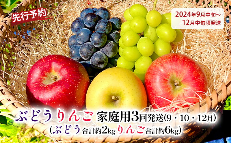 【ふるさと納税】先行予約 ぶどうりんご家庭用3回発送（9・10・12月）（ぶどう合計約2kgりんご合計約6kg）2024年発送　【定期便・ 果物 フルーツ デザート 食後 長野県産 新鮮 香りがいい 完熟りんご 信州 長野のりんご 信州産 】　お届け：2024年9月中旬～12月中旬