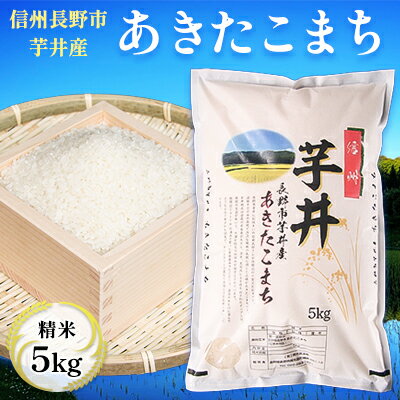 【ふるさと納税】信州芋井産あきたこまち精米5kg　【 お米 白米 ライス ご飯 ブランド米 銘柄米 お弁当 おにぎり 直送 産地直送 主食 炭水化物 精米したて 美味しいお米 長野県産 長野市産 食べ物 食品 】