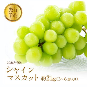 【ふるさと納税】廃盤 シャインマスカット約2kg(3~6房入り) お届け:2025年9月下旬~10月下旬