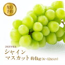 【ふるさと納税】廃盤 シャインマスカット約4kg(6~12房入り) お届け:2025年9月下旬~10月下旬