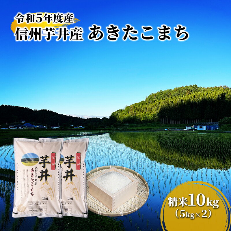 信州芋井産あきたこまち精米10kg（5kg×2）　【 お米 白米 ブランド米 銘柄米 ご飯 おにぎり お弁当 和食 主食 国産 炭水化物 産地直送 】　お届け：2024年10月31日まで