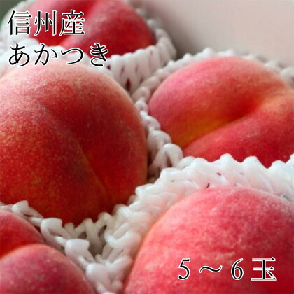 ※2024年先行予約※【信州長野県産】 あかつき5～6玉　【 果物 フルーツ デザート 食後 おやつ 産地直送 長野県産 果汁たっぷり 白桃 】　お届け：2024年7月下旬～8月末まで