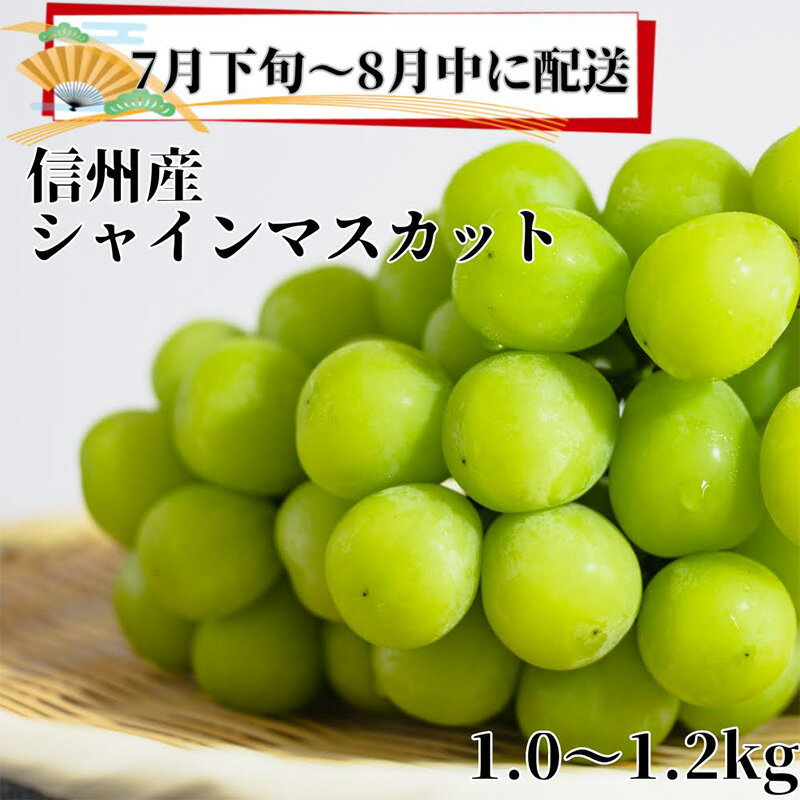 【ふるさと納税】2024年先行予約【信州長野県産】7月～8月