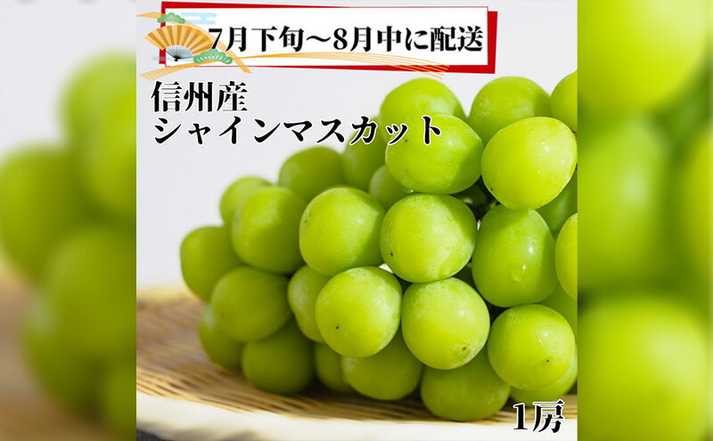 【ふるさと納税】2024年先行予約【信州長野県産】7月～8月発送　シャインマスカット1房　【 長野市 】　お届け：2024年7月下旬～8月下旬まで