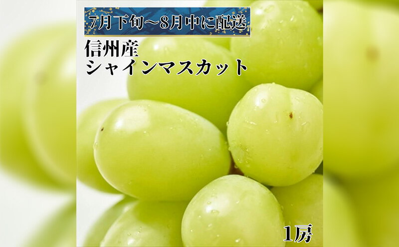 【ふるさと納税】2024年先行予約 7月下旬～8月上旬発送　極上シャインマスカット1房　【 果物 フルーツ 食後 デザート ぶどう 極上フルーツ 酸味少なめ 種なし 皮ごと 長野市産 信州産 】　お届け：2024年7月下旬～8月中旬