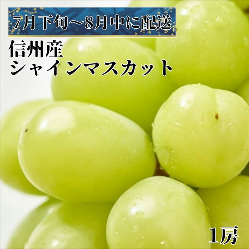 【ふるさと納税】2024年先行予約 7月下旬～8月上旬発送　極上シャインマスカット1房　【 果物 フルーツ 食後 デザート ぶどう 極上フルーツ 酸味少なめ 種なし 皮ごと 長野市産 信州産 】　お届け：2024年7月下旬～8月中旬