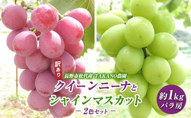 【ふるさと納税】先行予約 長野市松代産 TAKANO農園 訳ありクイーンニーナとシャインマスカット2色セット 約1kg（バラ房）2025年発送 果物 フルーツ 食後 デザート 種無し ぶどう詰め合わせ ぶどう 食べ比べ 　お届け：2026年9月下旬～10月下旬