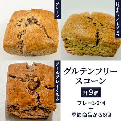 【ふるさと納税】グルテンフリースコーン9個　【 お菓子 スイ