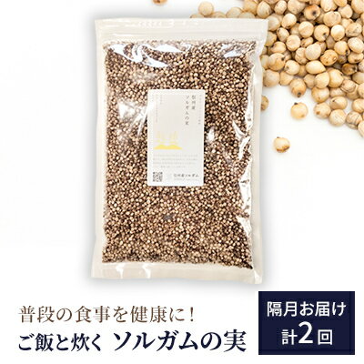 【ふるさと納税】普段の食事を健康に！ご飯と炊くソルガムの実定期便　 隔月お届け　計2回　【定期便・ 雑穀 グルテンフリー ヴィーガン 注目 食物繊維 ポリフェノール サラダ 】