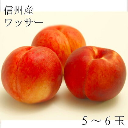 2024年先行予約 ワッサー5～6玉 信州長野県産 長野県産　【 果物 デザート 桃 フルーツ 旬 甘味 酸味 果汁さっぱり サクサク固め 歯ごたえ】　お届け：2024年7月下旬～8月下旬まで