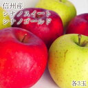 【ふるさと納税】2024年先行予約 シナノゴールド＆シナノスイート各3玉 長野県産　【 果物 フルーツ デザート 旬 りんご 食べやすい バランス 果汁 たっぷり 甘酸っぱい やわらかめ 人気 】　お届け：2024年10月下旬～11月下旬まで