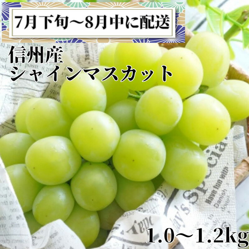 名称ぶどう内容量シャインマスカット2房 原産地：長野市産地長野県長野市事業者中村農園配送方法冷蔵配送お届け時期2024年7月下旬～8月下旬まで備考※画像はイメージです。 ※鮮度の良い状態でお召し上がりいただける様、クール便でお送りしています...