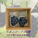 【ふるさと納税】【2025年9月より順次発送】信州産ナガノパープル2房(合計1kg以上)大粒&大房 果物 ぶどう フルーツ 種なし 皮ごと 食べ応え 秋の味覚 お届け:2025年9月上旬より順次発送