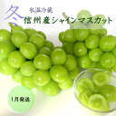 【ふるさと納税】【2026年1月より順次発送】信州産冷蔵シャインマスカット 2房(1.1kg以上)大粒&大房 果物 ぶどう フルーツ みずみずしい 長野県産 食後 デザート お届け:2026年1月上旬より順次発送