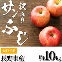 【ふるさと納税】【2025年11月中旬より順次発送 先行予約】 訳あり りんご 長野市産 サンふじ 約 10kg 果物 フルーツ 食後 デザート 豊富な果汁 信州産 長野りんご 信州のりんご お届け:2025年11月中旬より順次発送