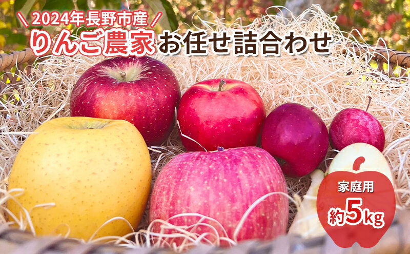 【ふるさと納税】2024年長野市産　(2024年12月～2025年2月出荷)りんご農家お任せ詰合わせ　家庭用約5kg　【 林檎 りんご リンゴ 詰め合わせ 果物類 果物 】　お届け：2024年12月1日～12月31日