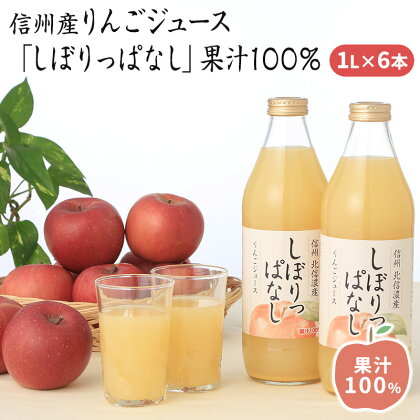 信州産 りんごジュース 「しぼりっぱなし」 果汁100％ (1L×6本)　【果実飲料・ジュース・飲料類・果汁飲料・りんご・ジュース】