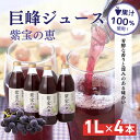 信州産 巨峰ジュース 果汁100％　「紫宝の恵」 (1L×4本)　