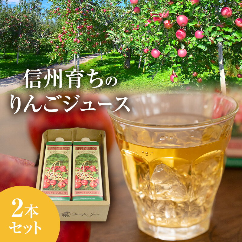 信州育ちのりんごジュース 2本詰 果実飲料 飲料類 飲み物 フルーツジュース アップルジュース 長野市産りんご りんご100% ストレートジュース コク