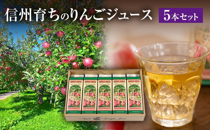 【ふるさと納税】信州育ちのりんごジュース 5本詰 果実飲料 飲料類 飲み物 フルーツジュース アップルジュース 長野市産りんご りんご100％ ストレートジュース コク