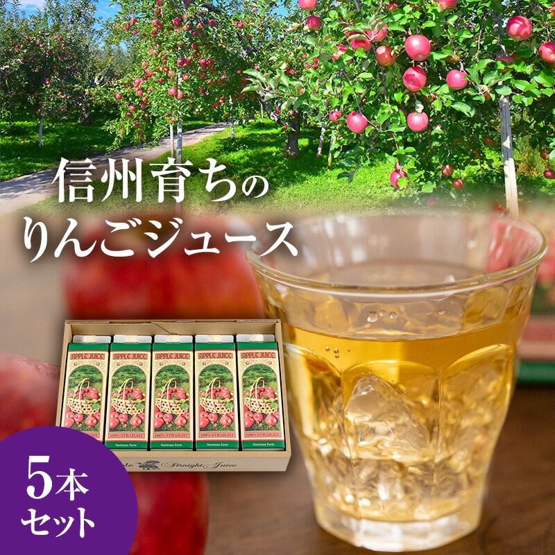 2位! 口コミ数「0件」評価「0」信州育ちのりんごジュース 5本詰　【 果実飲料 ジュース 飲料類 飲み物 フルーツジュース アップルジュース 長野市産りんご りんご100％･･･ 