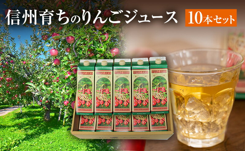 【ふるさと納税】信州育ちのりんごジュース 10本詰　【 果実飲料 ジュース 飲料類 飲み物 フルーツジュース アップルジュース 長野市産りんご りんご100％ ストレートジュース コク 】