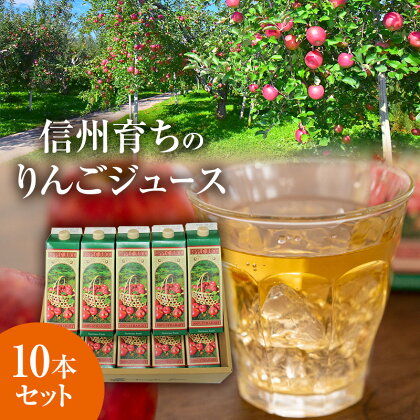 信州育ちのりんごジュース 10本詰　【 果実飲料 ジュース 飲料類 飲み物 フルーツジュース アップルジュース 長野市産りんご りんご100％ ストレートジュース コク 】