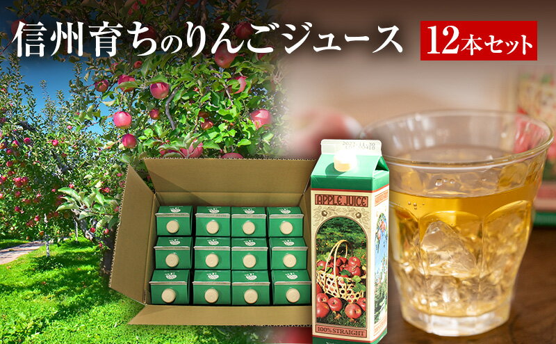 【ふるさと納税】信州育ちのりんごジュース 12本詰 果実飲料 飲料類 飲み物 フルーツジュース アップルジュース 長野市産りんご りんご100％ ストレートジュース コク