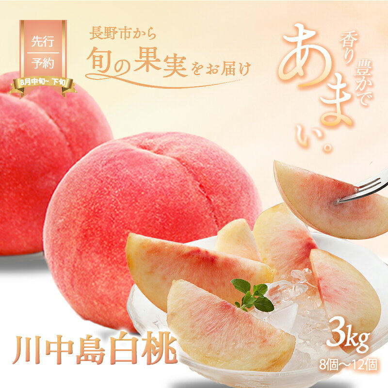 【ふるさと納税】川中島白桃約3kg（8個～12個）　長野市　お届け：2024年8月中旬～8月下旬までのサムネイル