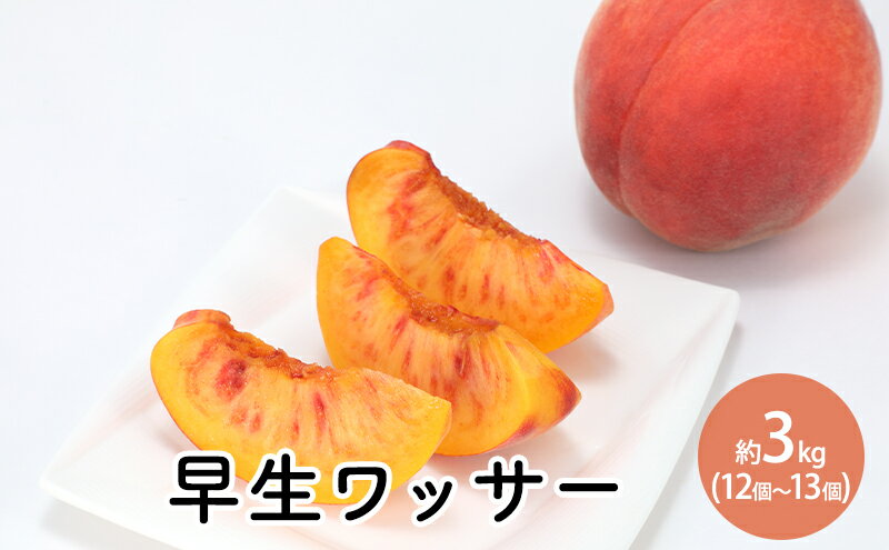 【ふるさと納税】早生ワッサー約3kg（12個～13個） 　お届け：2025月7月下旬～8月上旬まで