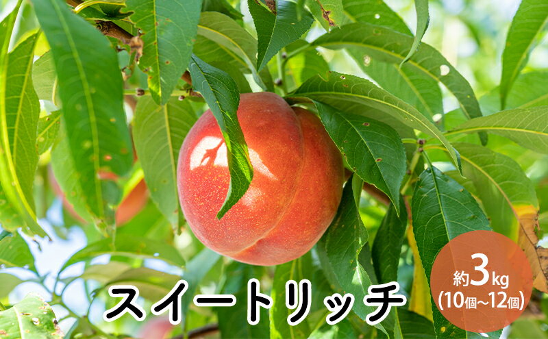 冷凍　フランス産　高級ミックスフルーツ　ラズベリー、グロゼイユ、ブルーベリー、ブラックベリー　1kg　100％　ポンティエ社　人工着色料、香料不使用