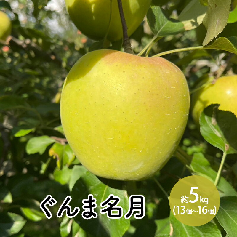 ぐんま名月約5kg(13個〜16個) お届け:2025年11月上旬〜11月下旬まで