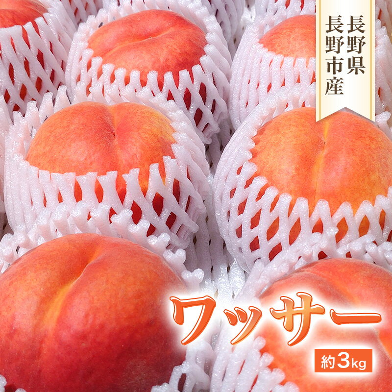 【ふるさと納税】長野県長野市産ワッサー約3kg箱 　お届け：2025年8月上旬～中旬のサムネイル