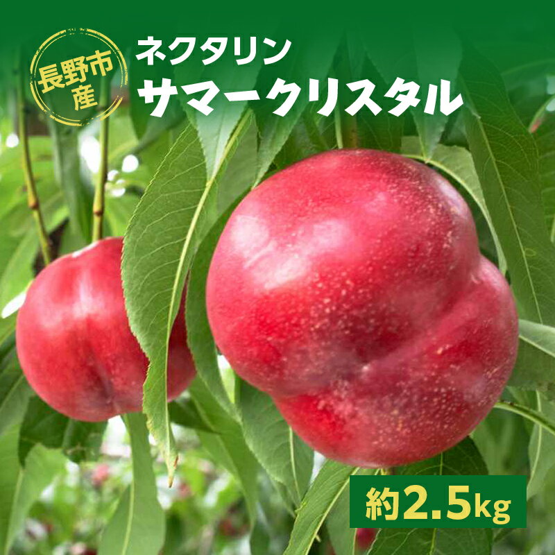 長野市産ネクタリン「サマークリスタル」約2.5kg お届け:2025年7月上旬〜中旬